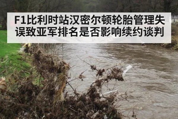F1比利时站汉密尔顿轮胎管理失误致亚军排名是否影响续约谈判